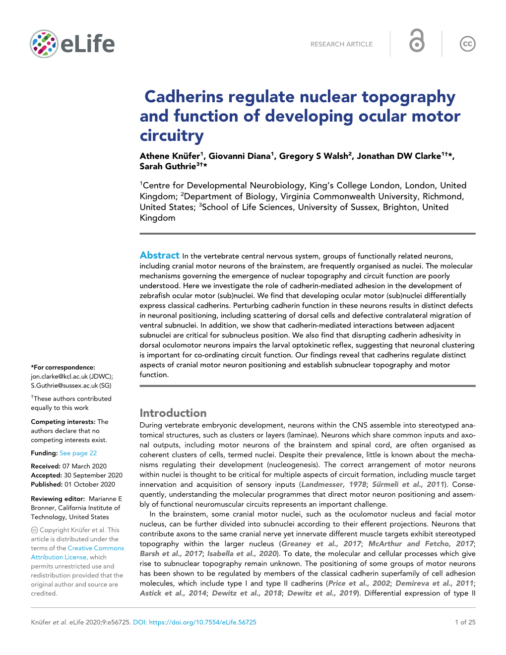 Cadherins Regulate Nuclear Topography and Function Of