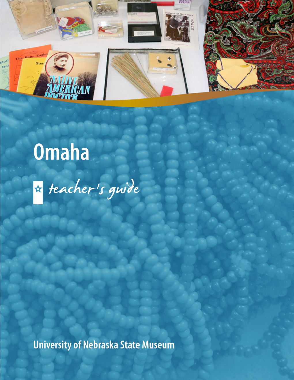 Download Teacher's Guide