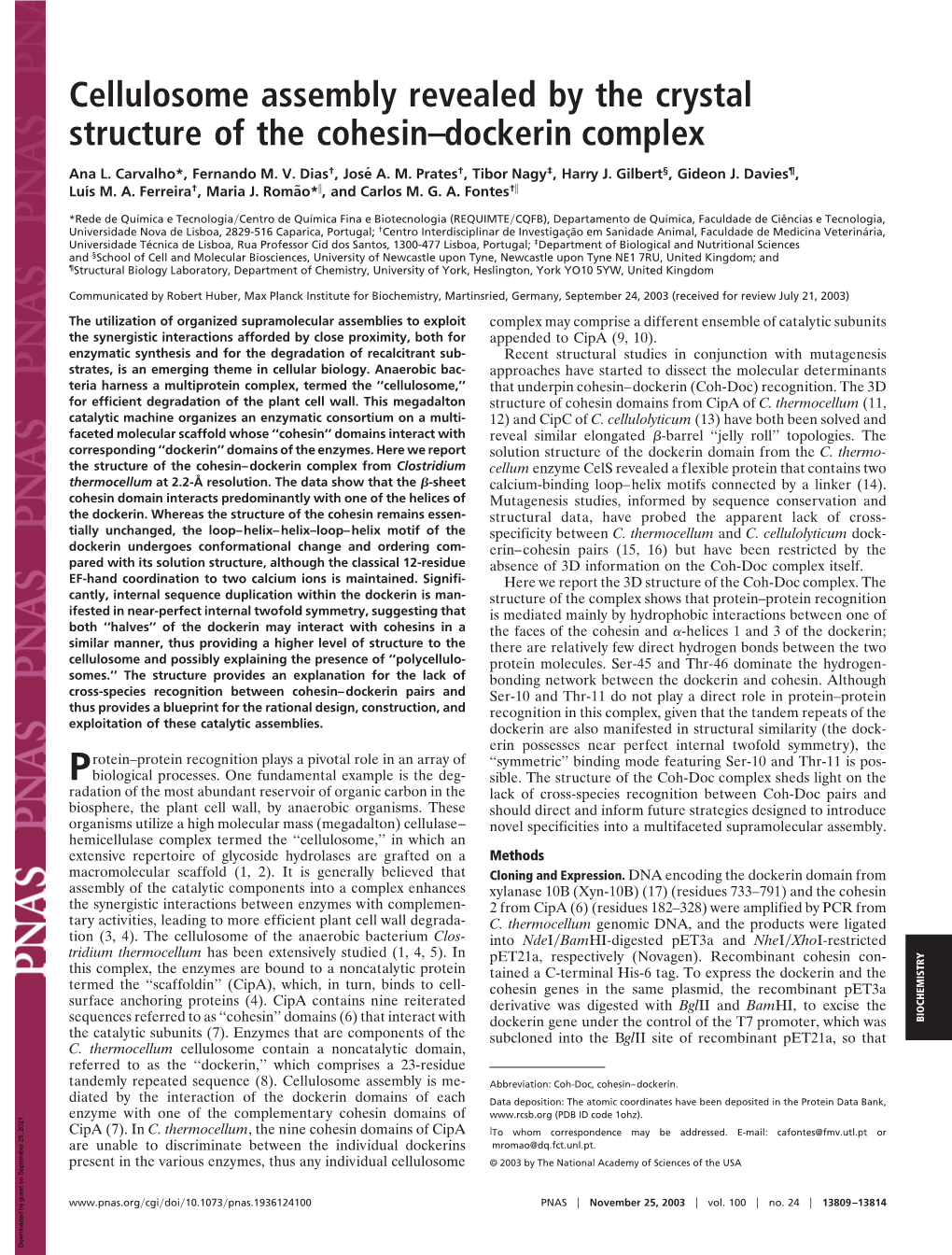 Cellulosome Assembly Revealed by the Crystal Structure of the Cohesin–Dockerin Complex