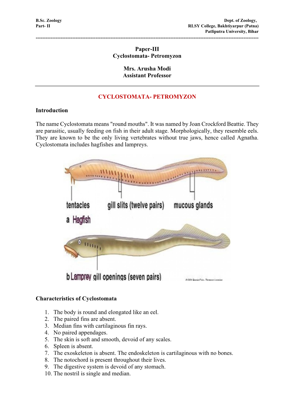 Petromyzon Mrs. Arusha Modi Assistant Professor CYCLOSTOMATA