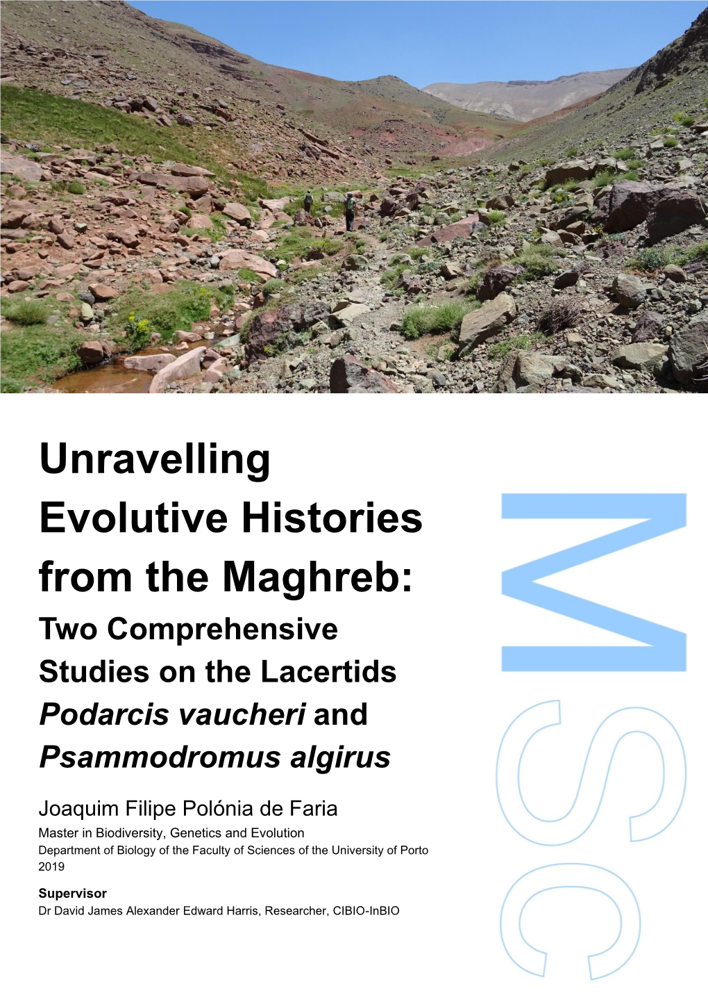 Unravelling Evolutive Histories from the Maghreb: Two Comprehensive Studies on the Lacertids Podarcis Vaucheri And