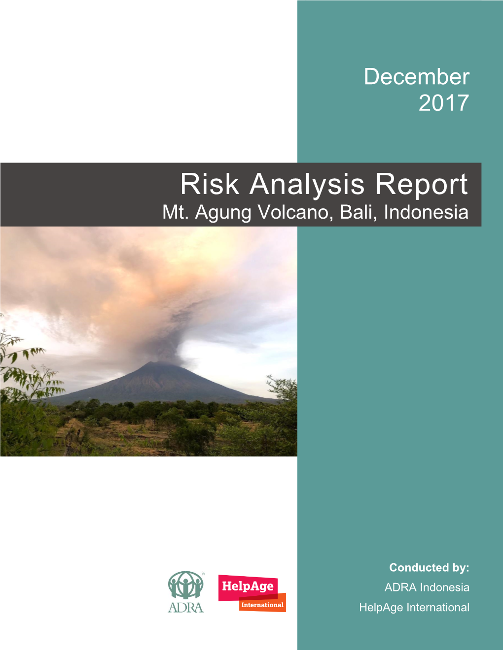 Risk Analysis Report Mt