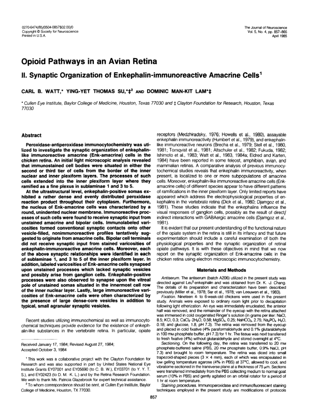 Opioid Pathways in an Avian Retina II