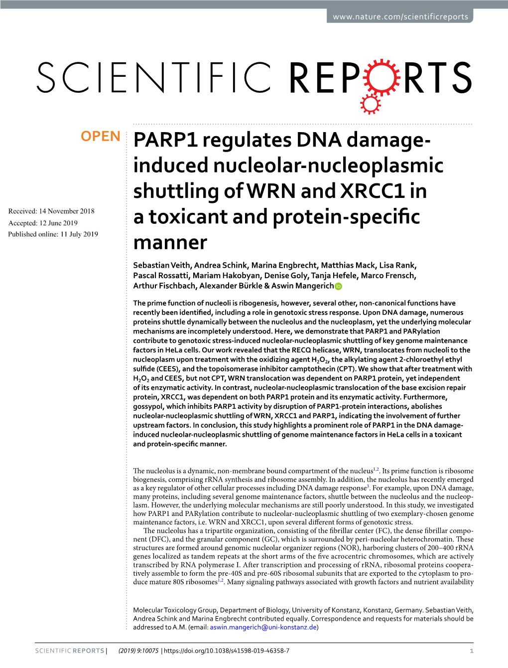 PARP1 Regulates DNA Damage-Induced Nucleolar-Nucleoplasmic Shuttling of WRN and XRCC1 in a Toxicant and Protein-Specific Manner