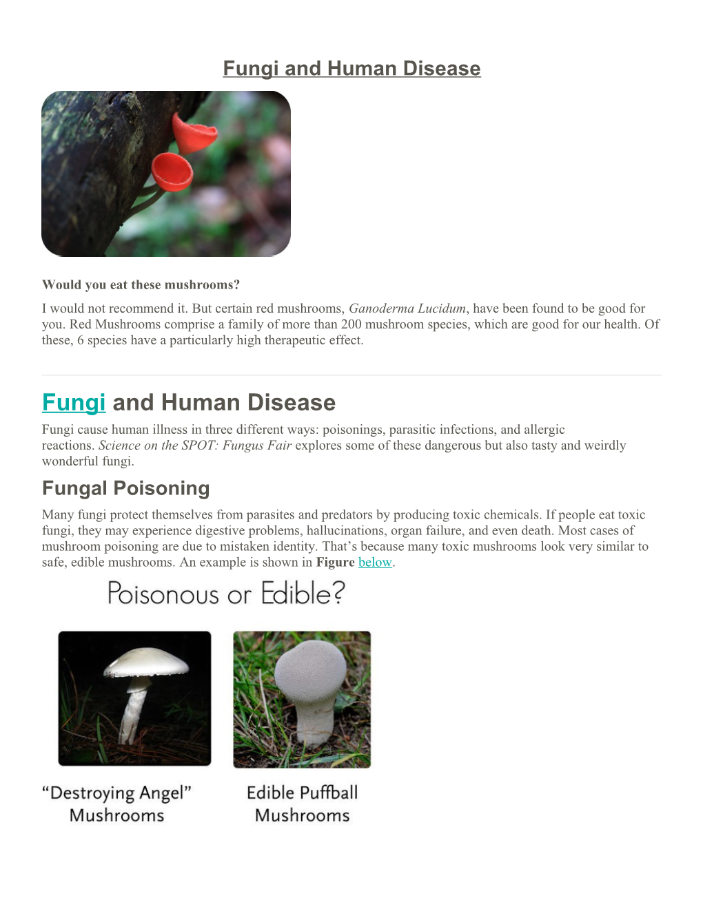 Fungi and Human Disease