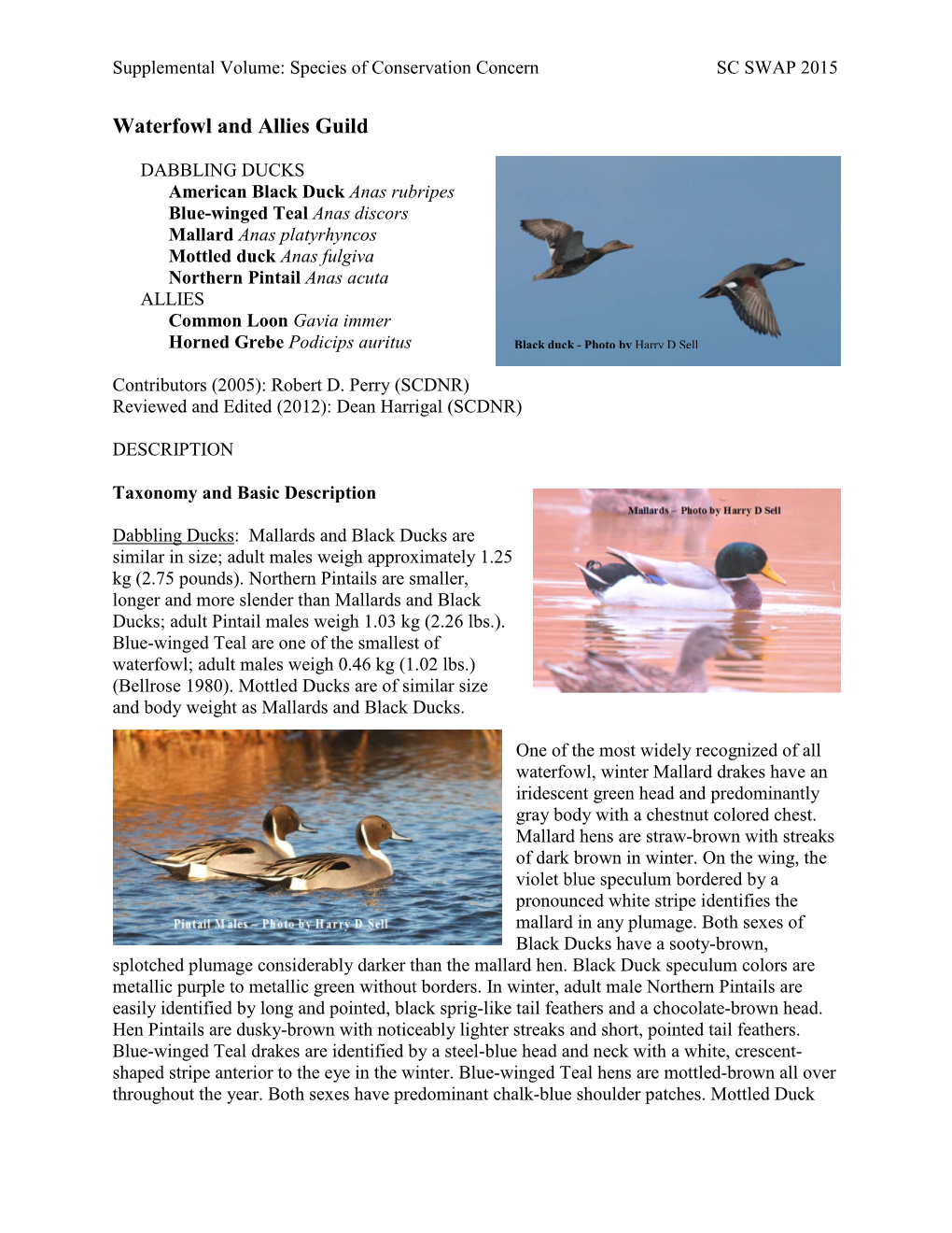 Waterfowl and Allies Guild