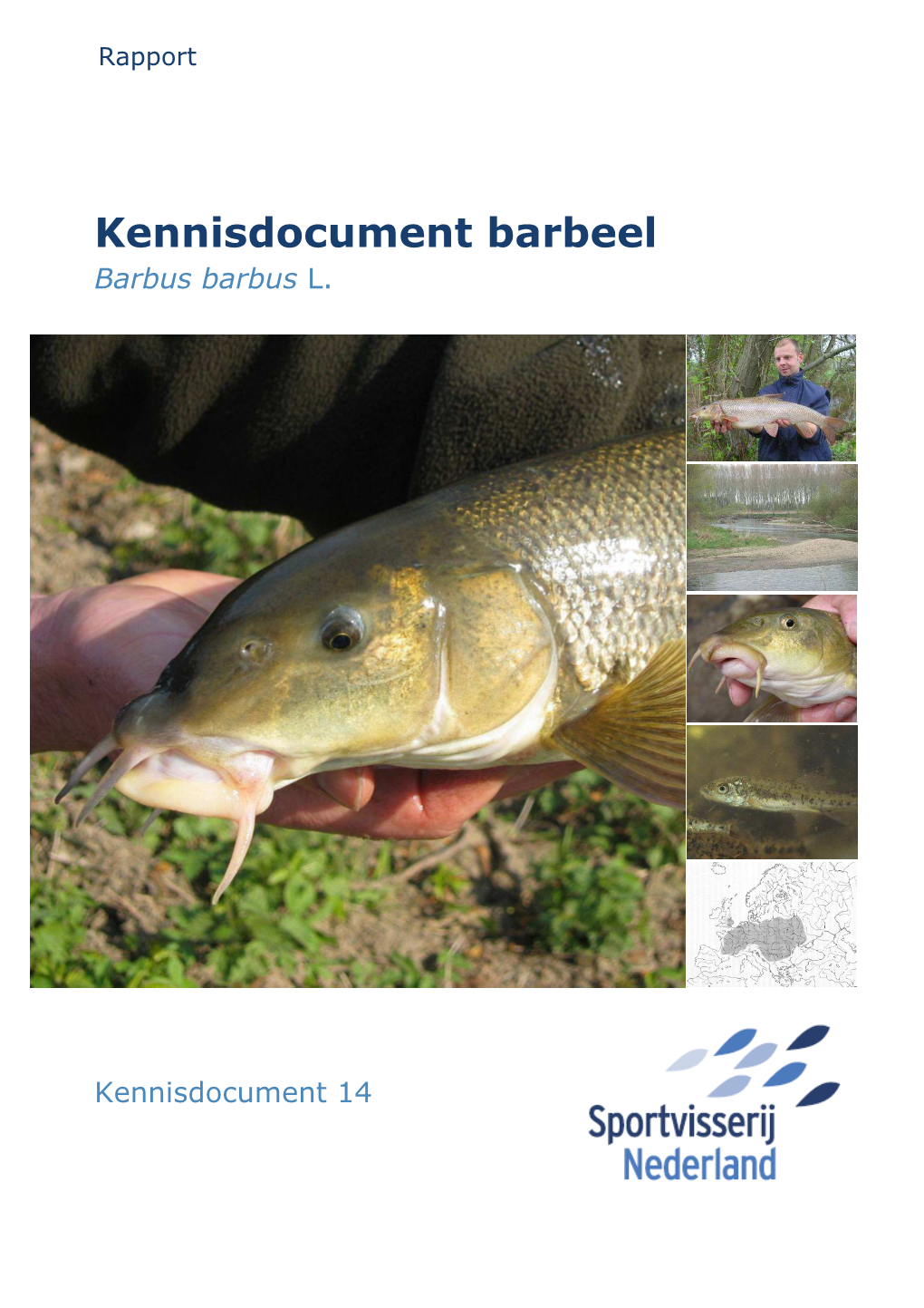 Kennisdocument Barbeel � Barbus Barbus L.