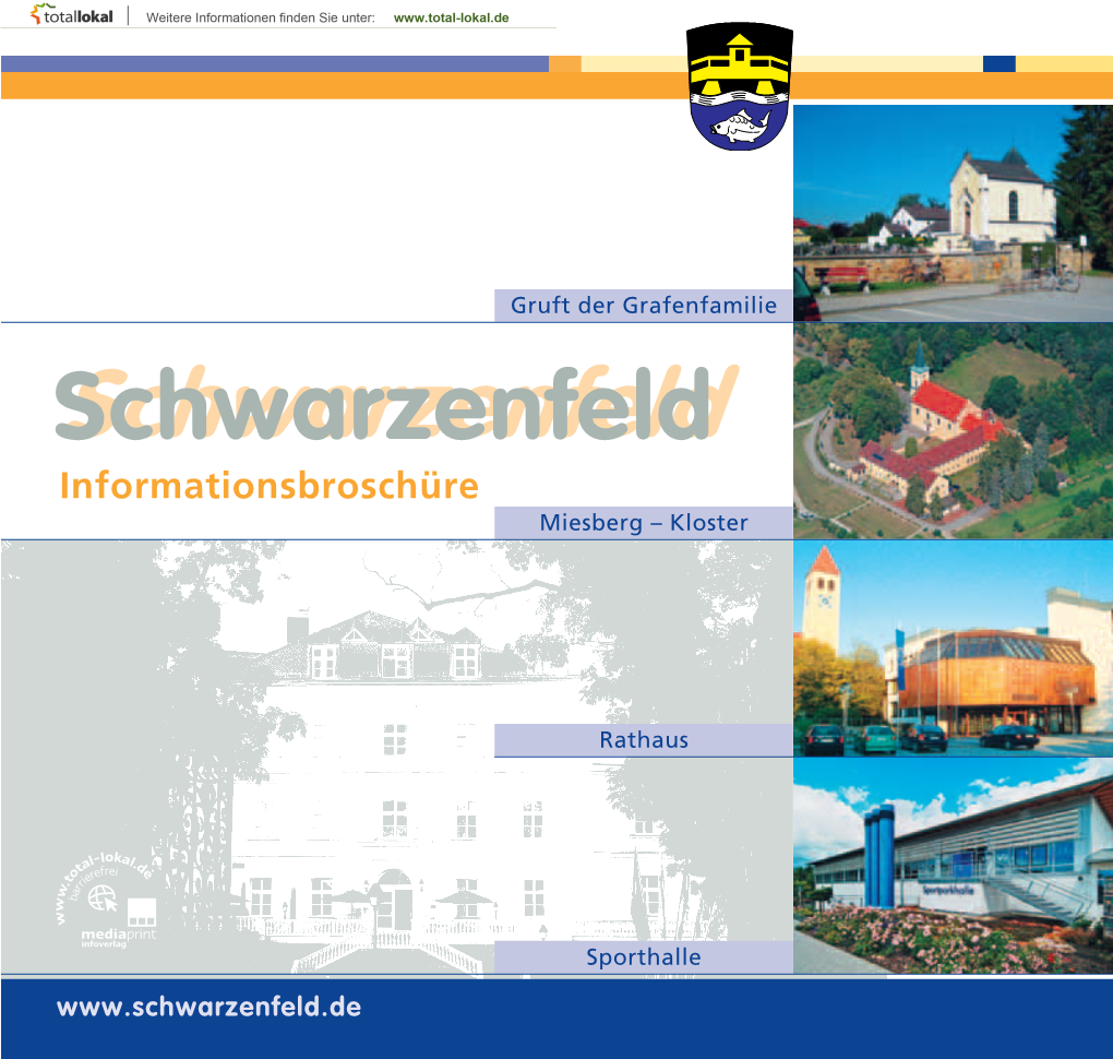 Schwarzenfeldschwarzenfeld Informationsbroschüre Miesberg – Kloster