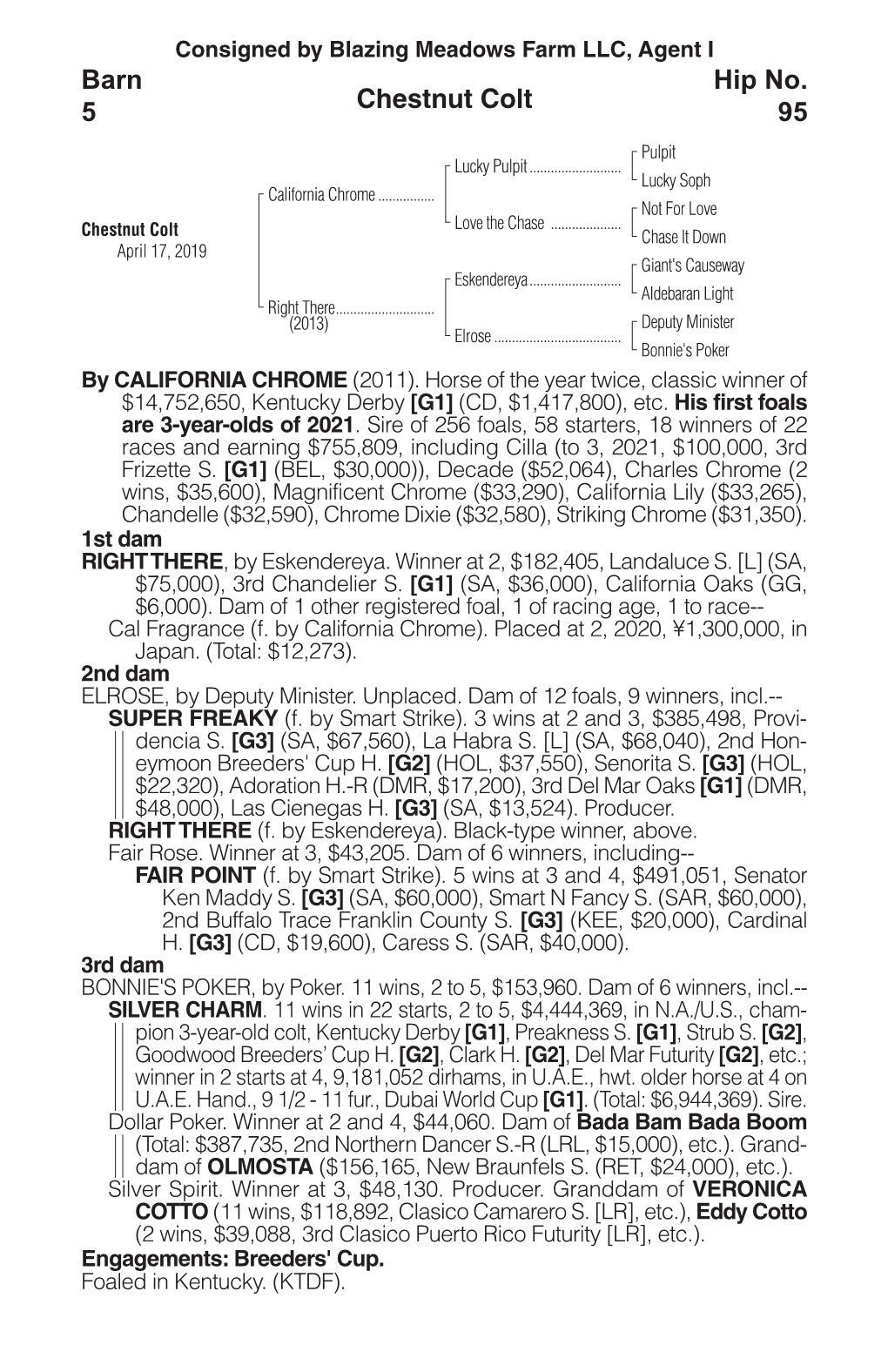 Chestnut Colt Barn 5 Hip No. 95