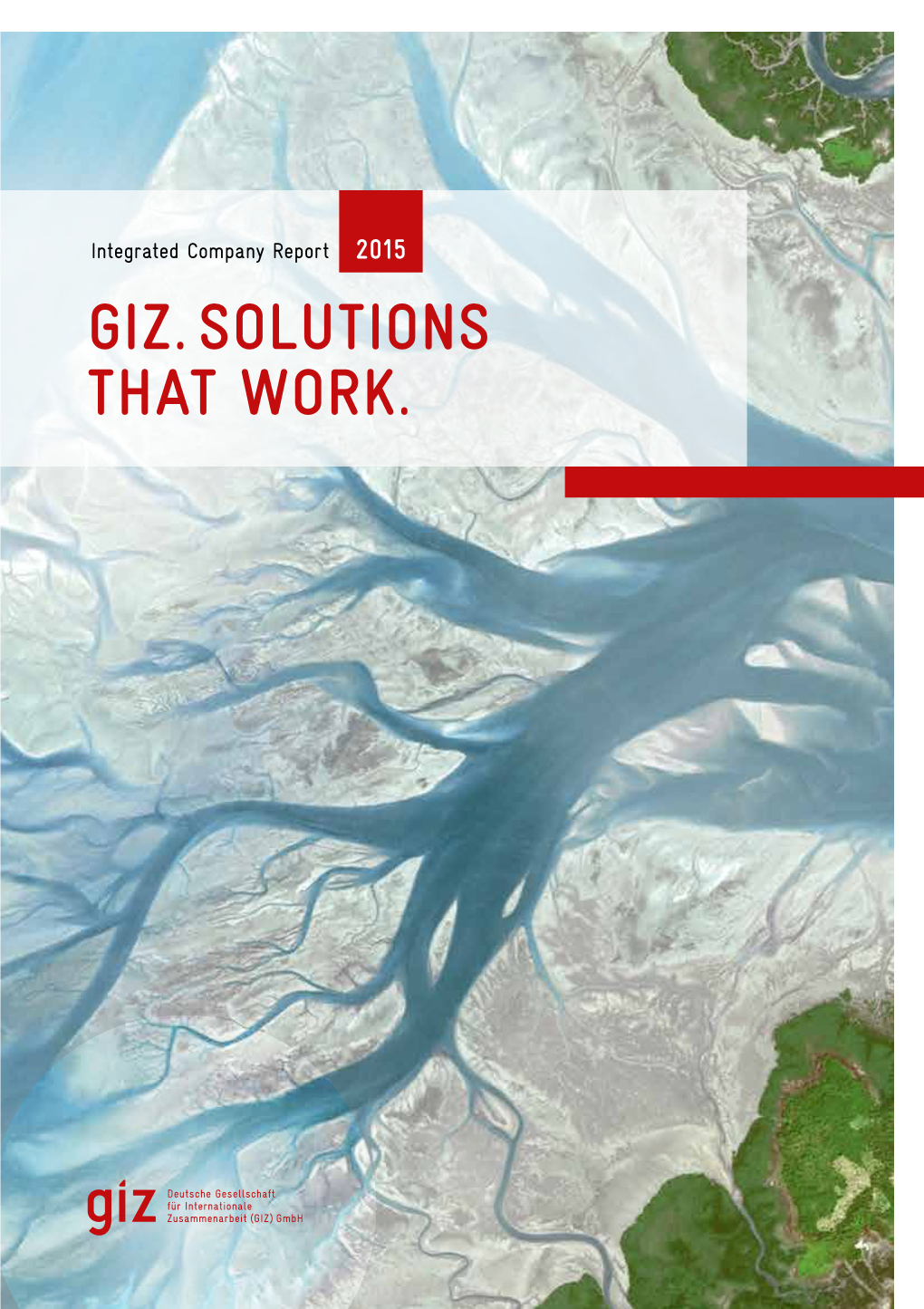 Giz. Solutions That Work. 54