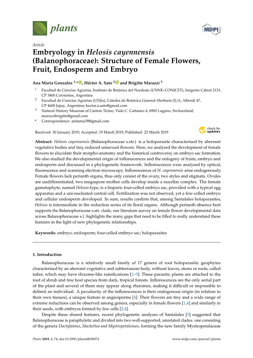 Balanophoraceae): Structure of Female Flowers, Fruit, Endosperm and Embryo