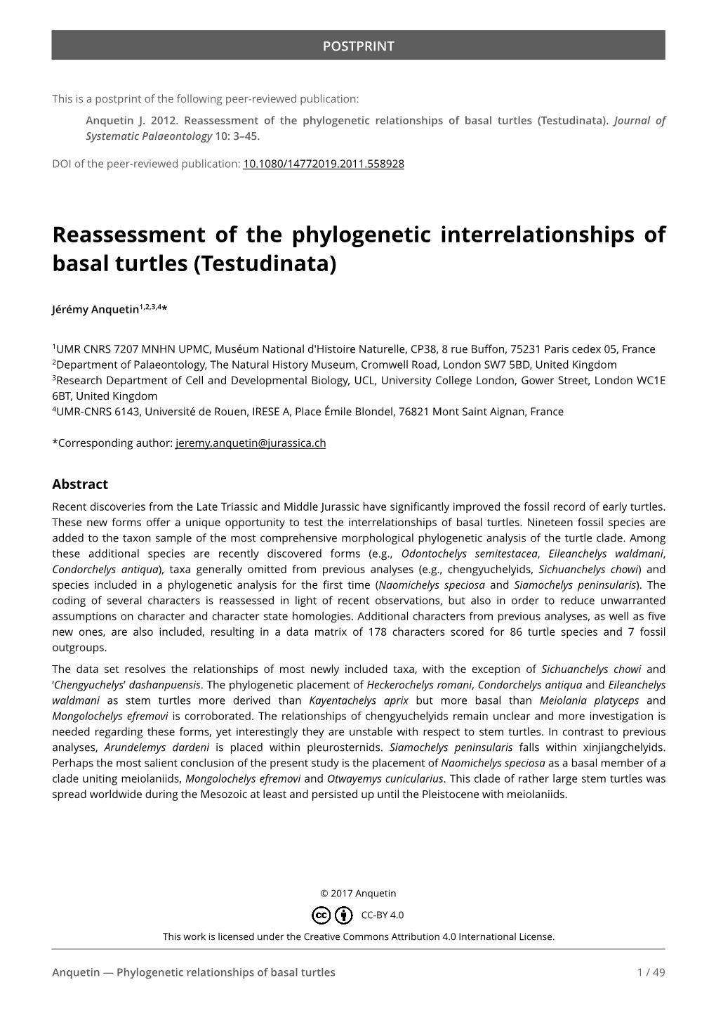 Phylo Basal Turtles