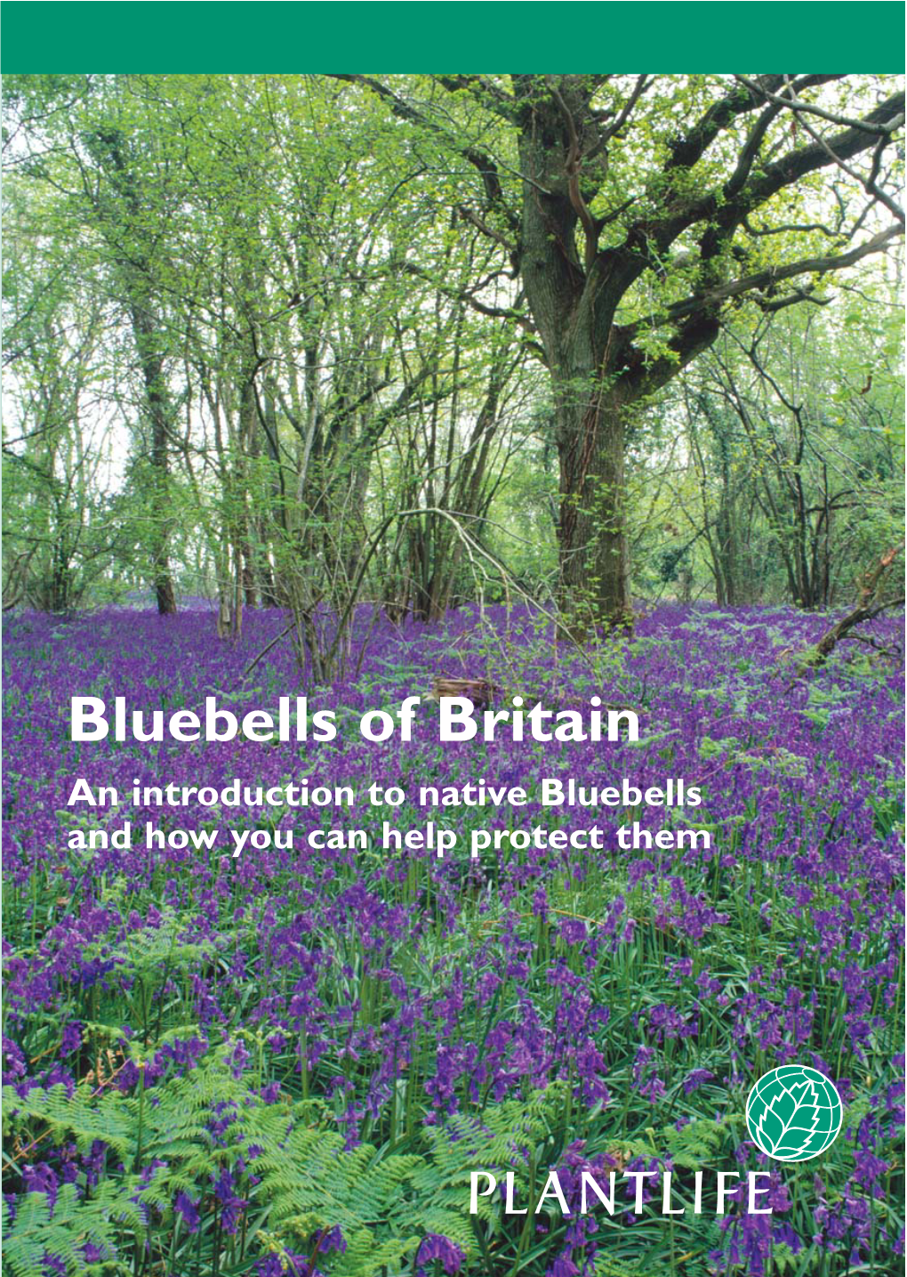 Bluebells Lflt V6