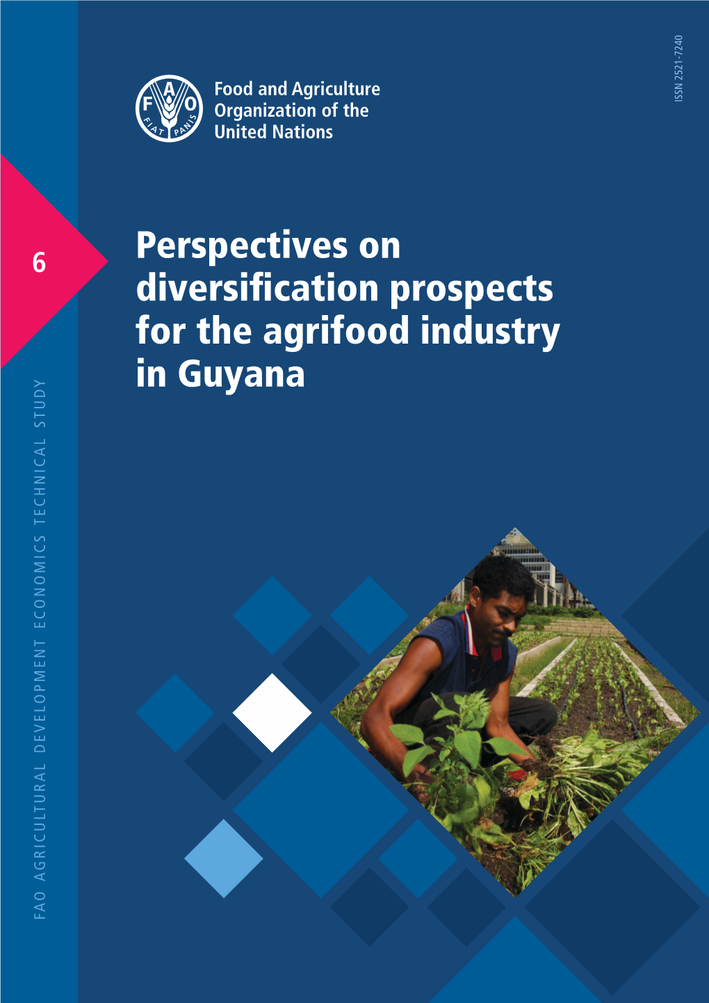 Perspectives on Diversification Prospects for the Agrifood Industry in Guyana