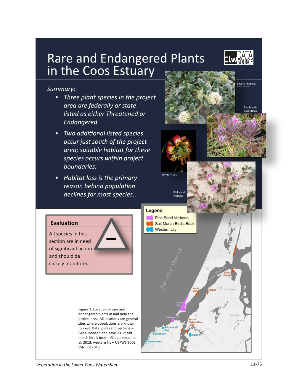 Rare and Endangered Plants in the Coos Estuary