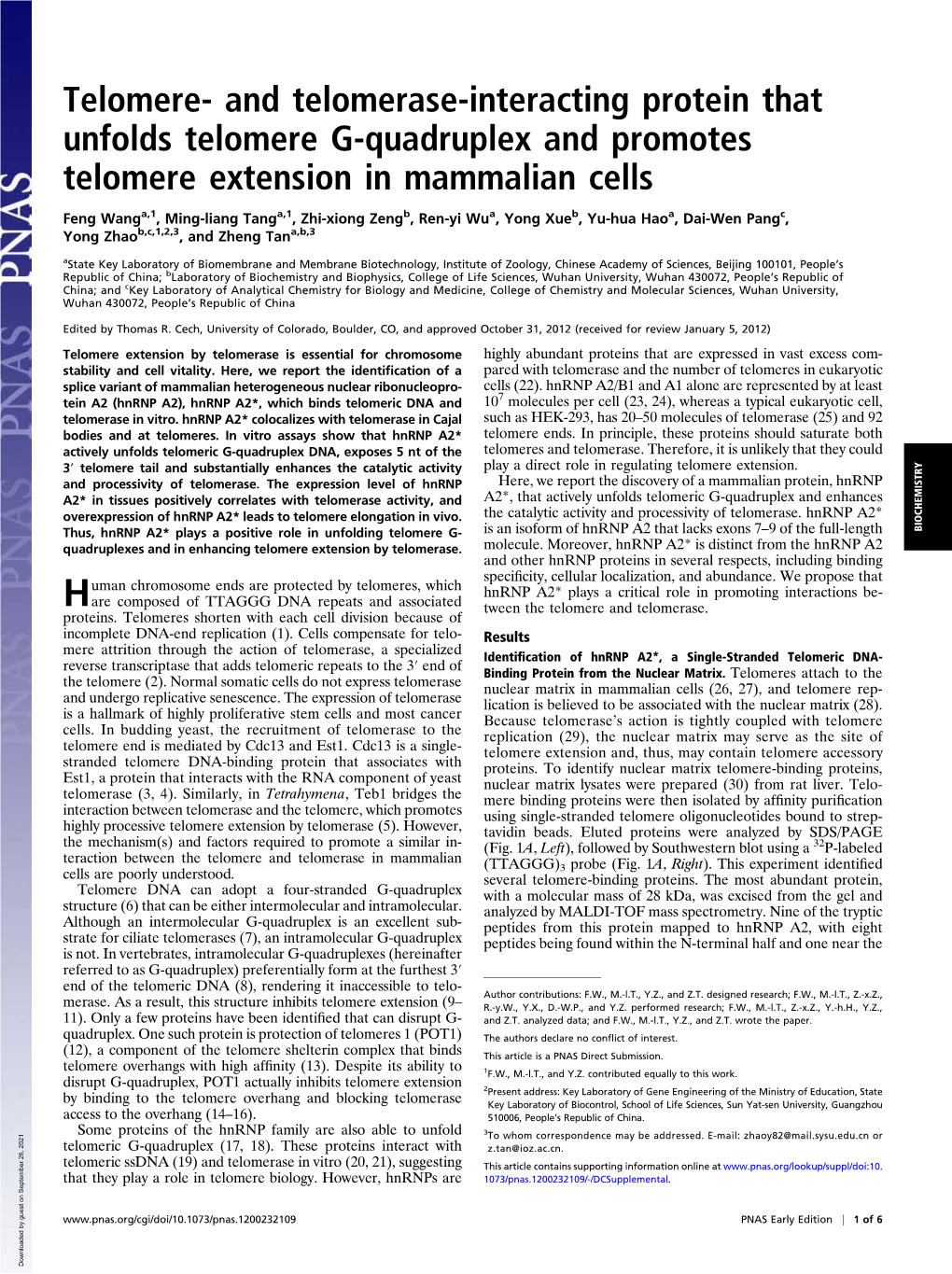 And Telomerase-Interacting Protein That Unfolds Telomere G-Quadruplex and Promotes Telomere Extension in Mammalian Cells