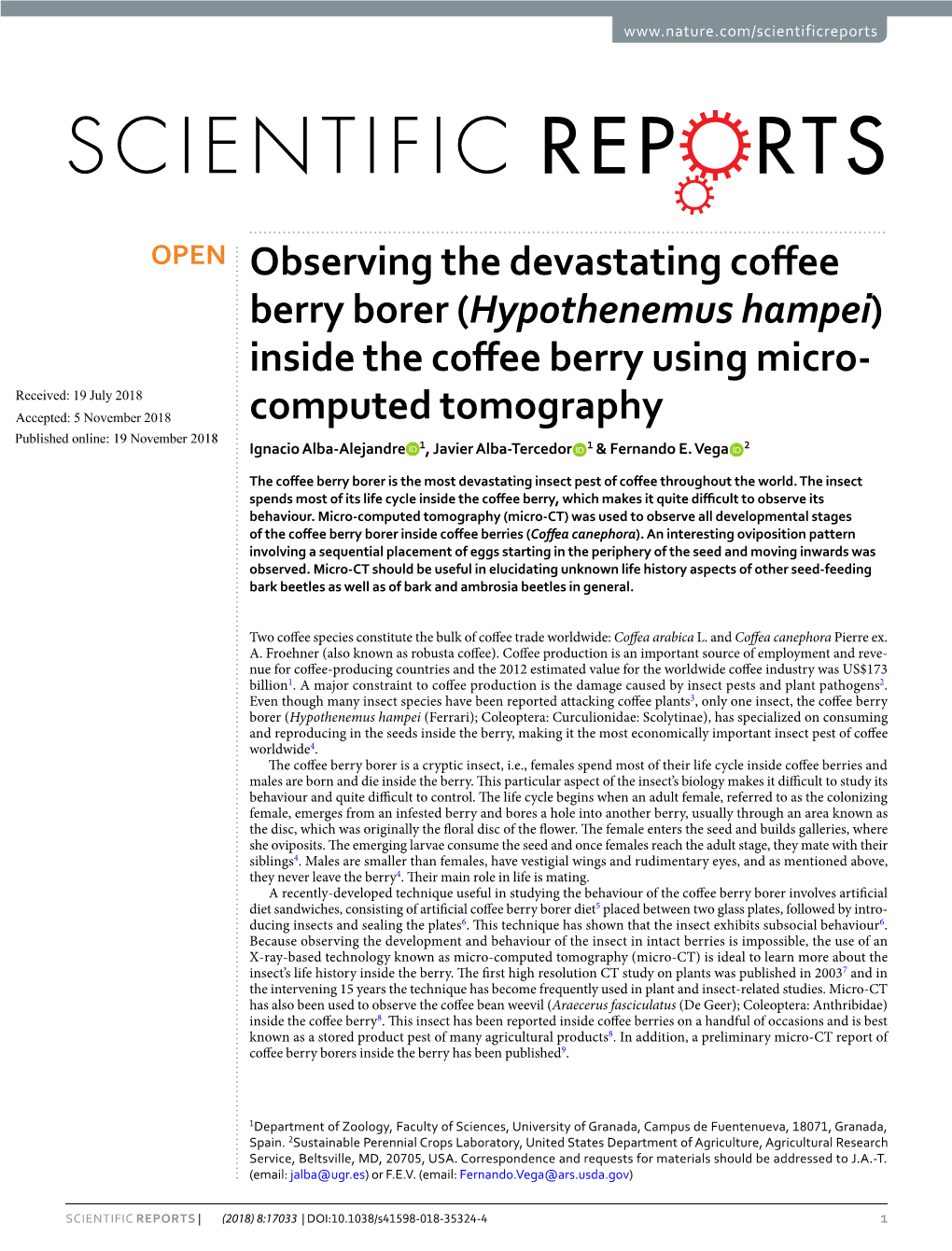 Observing the Devastating Coffee Berry Borer (Hypothenemus Hampei