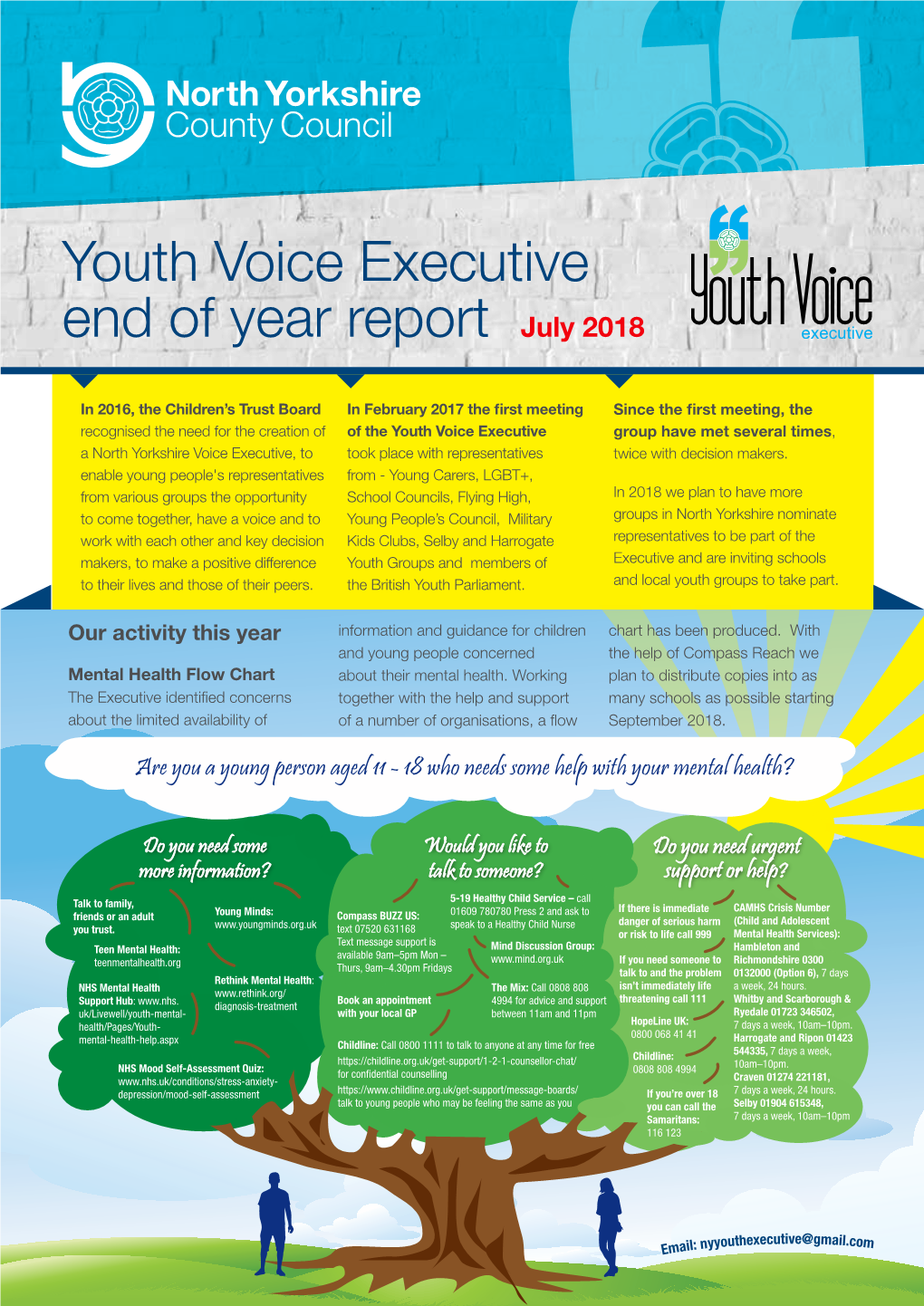 North Yorkshire Youth Voice Executive