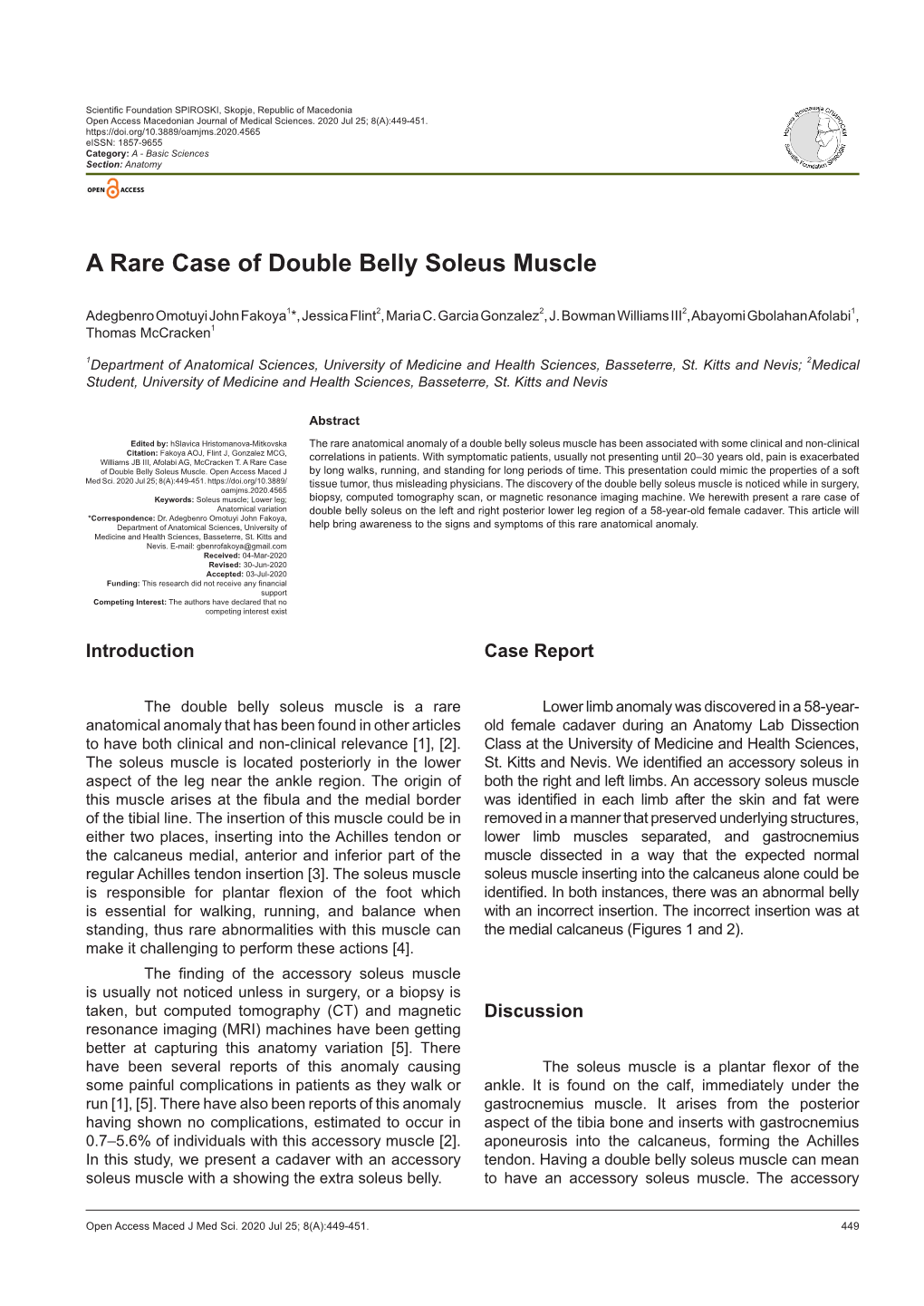 A Rare Case of Double Belly Soleus Muscle