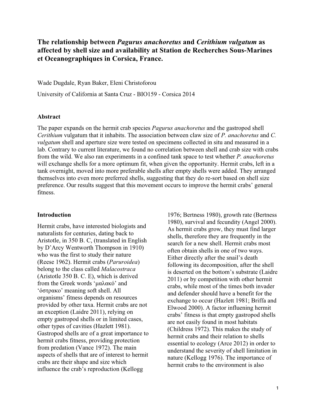 The Relationship Between Pagurus Anachoretus and Cerithium