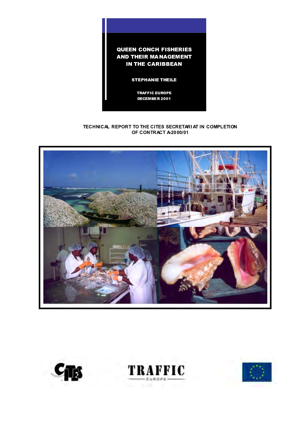 Queen Conch Fisheries and Their Management in the Caribbean