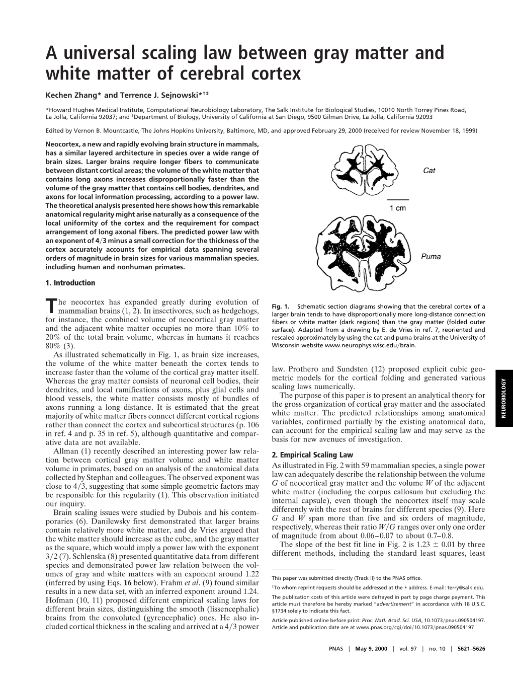 A Universal Scaling Law Between Gray Matter and White Matter of Cerebral Cortex