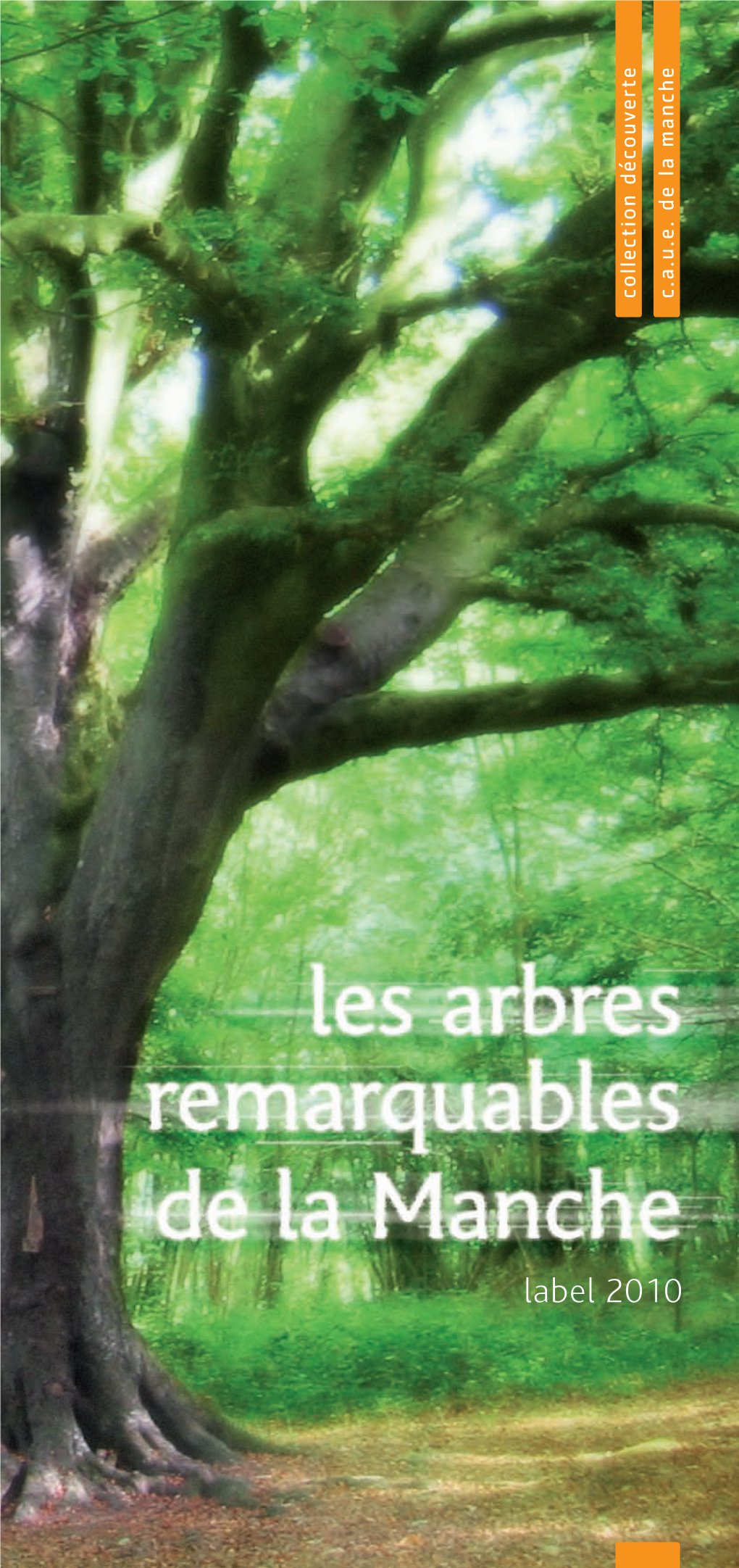 Les Arbres Remarquables De La Manche