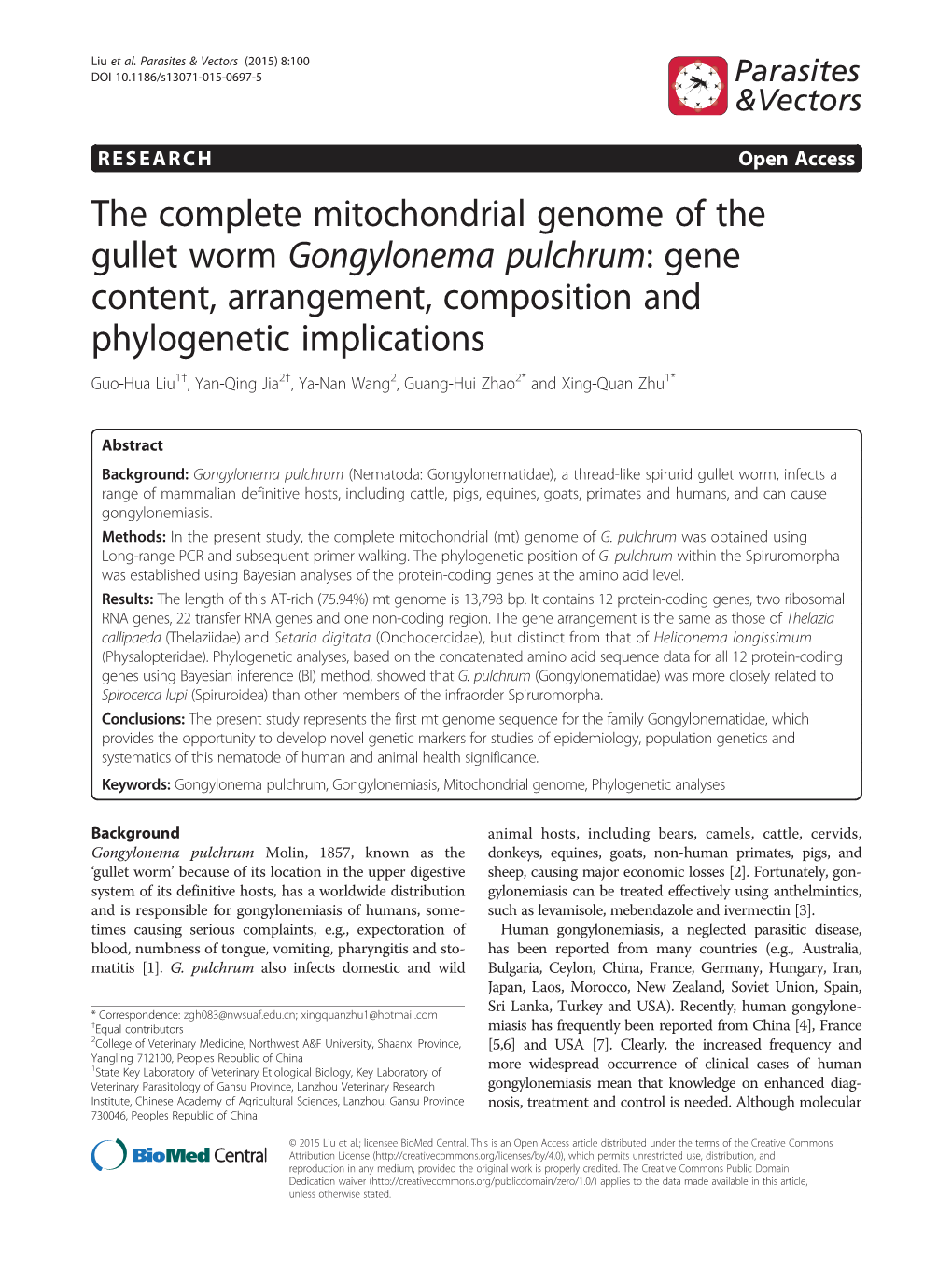 The Complete Mitochondrial Genome of the Gullet Worm