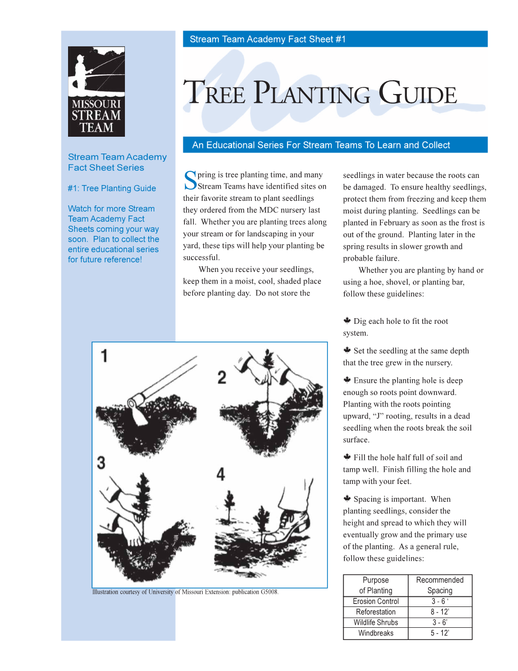 Tree Planting Guide