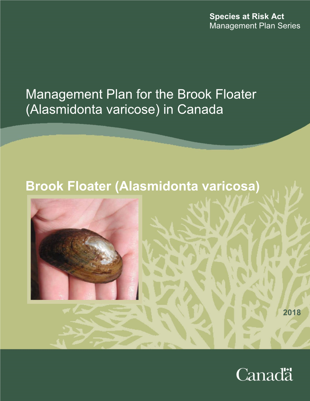 Management Plan for the Brook Floater (Alasmidonta Varicose) in Canada