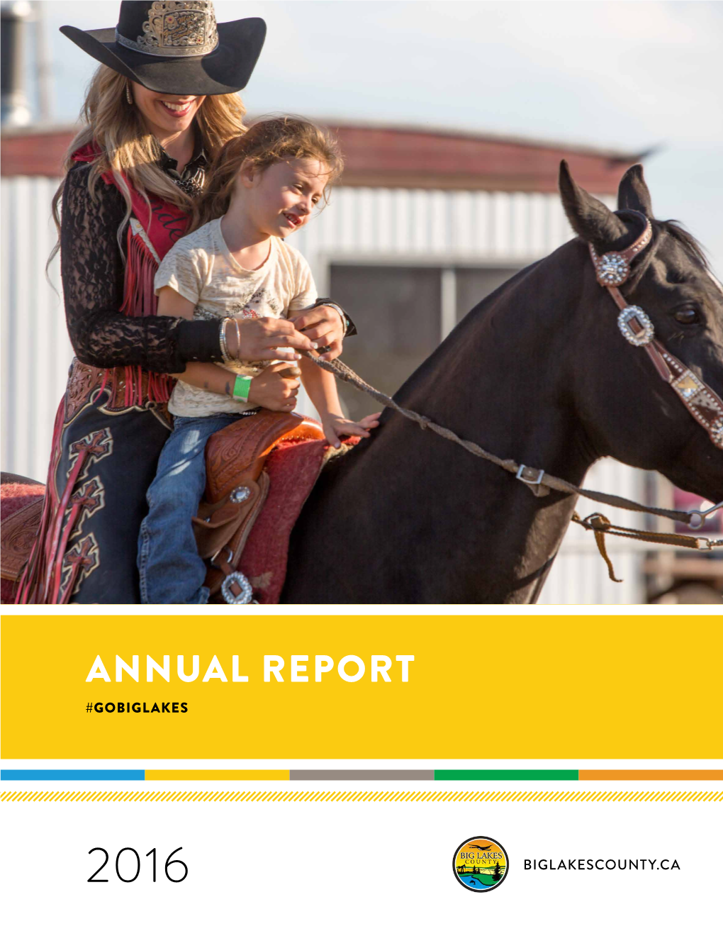 Annual Report #Gobiglakes