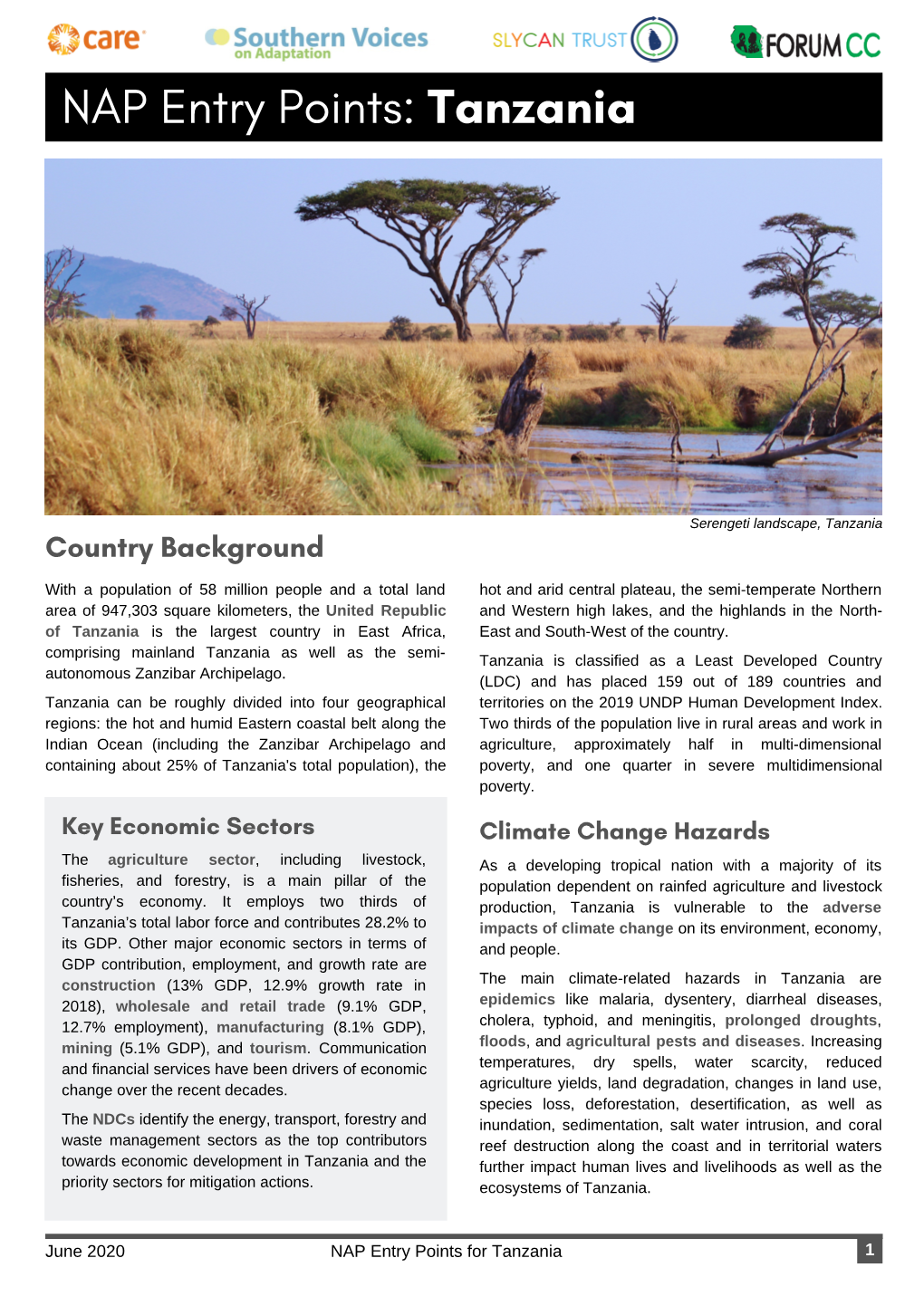 NAP Entry Points Tanzania (4-Pager)