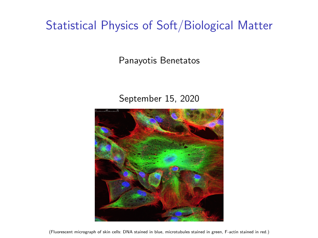 Statistical Physics of Soft/Biological Matter