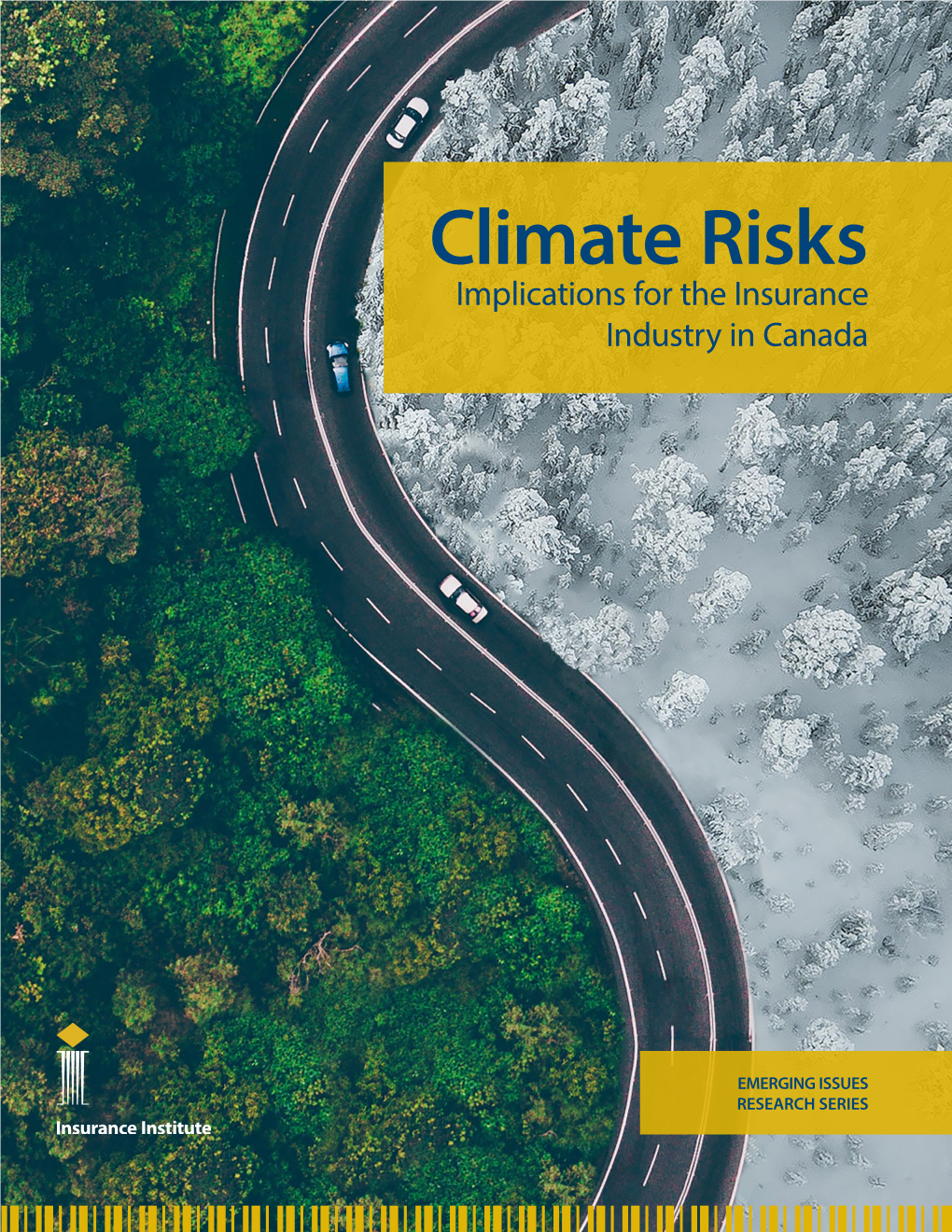Climate Risks: Implications for the Insurance Industry in Canada, the Insurance Institute of Canada, 2020