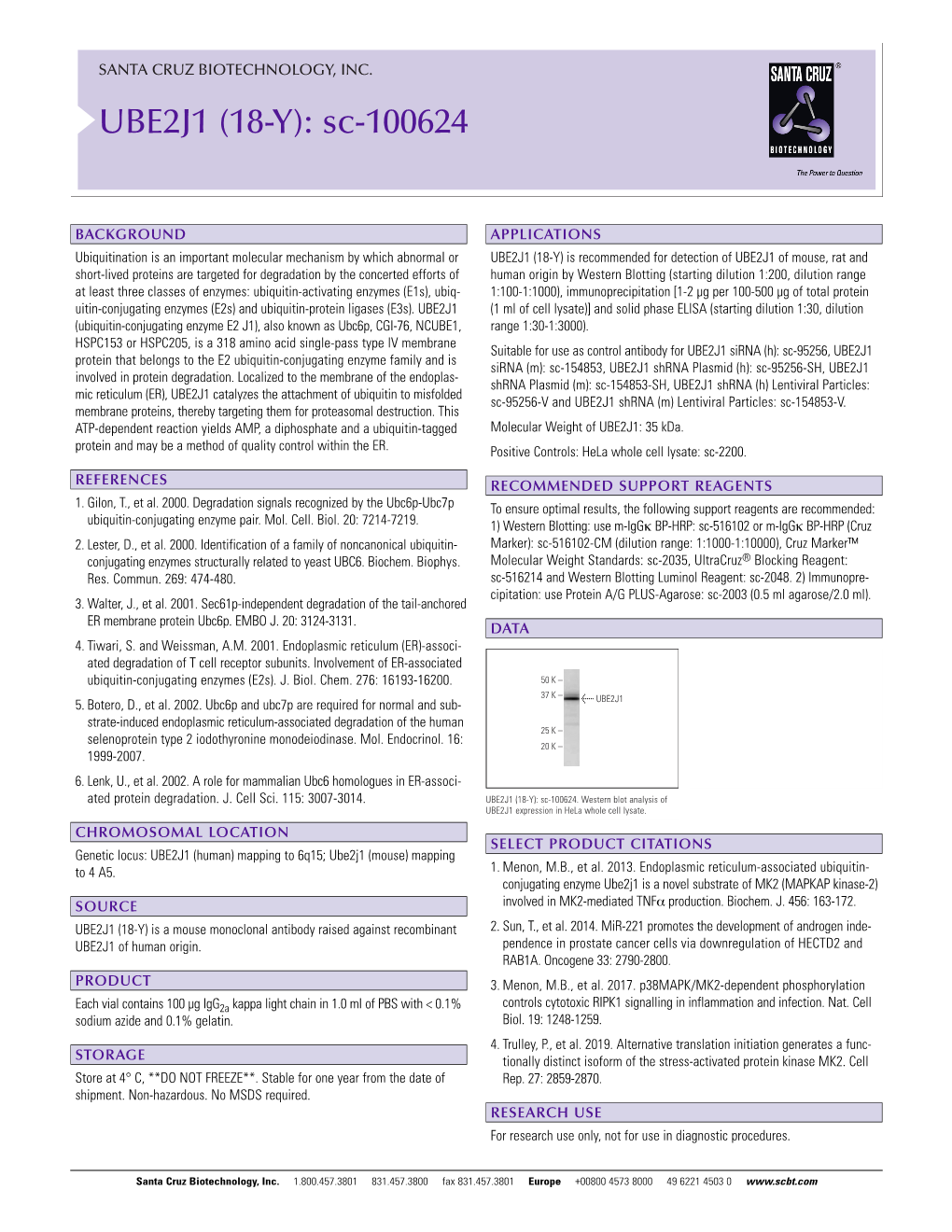 UBE2J1 (18-Y): Sc-100624