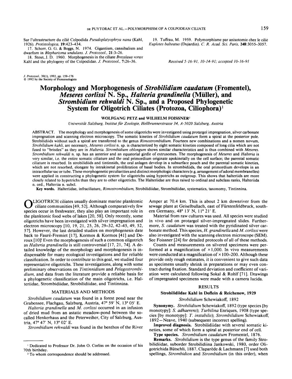 Morphology and Morphogenesis of Strobilidium Caudatum (Fromentel), Meseres Corlissi N. Sp., Halteria Grandinella (Müller)