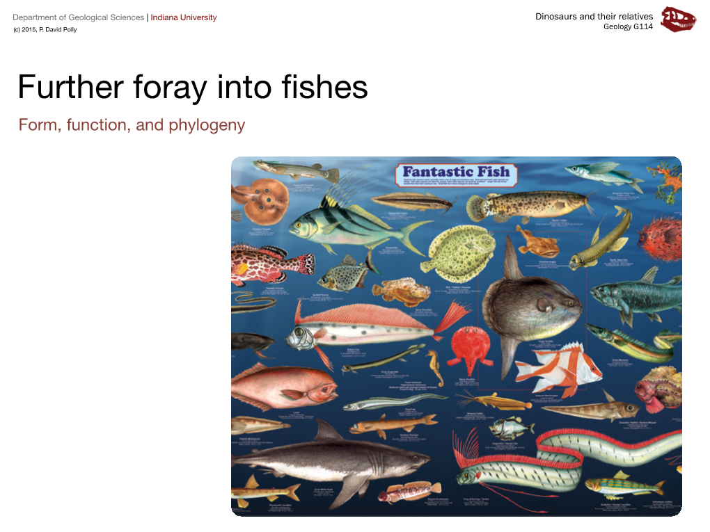 Further Foray Into Fishes.Pdf