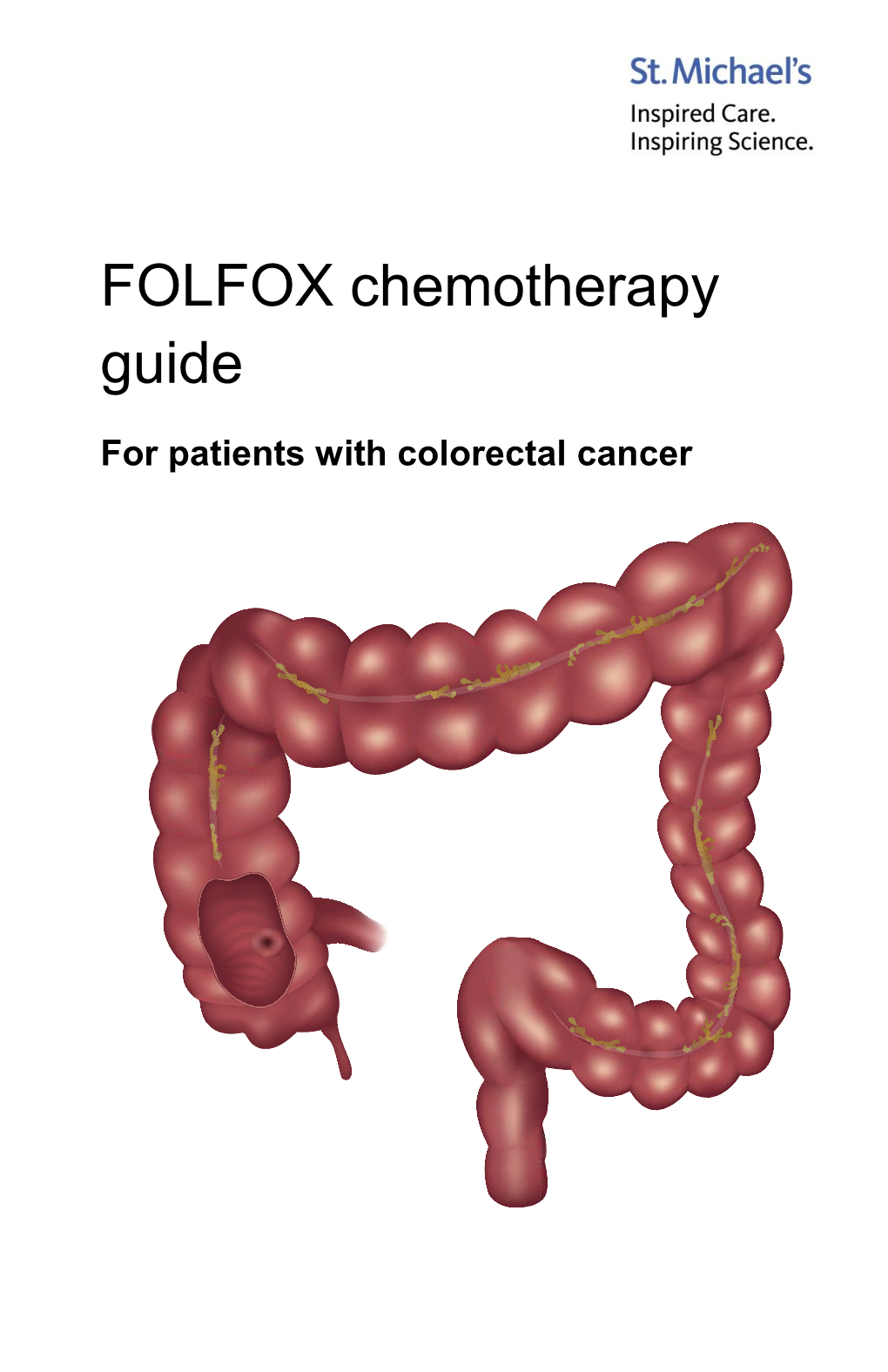 FOLFOX Chemotherapy Guide