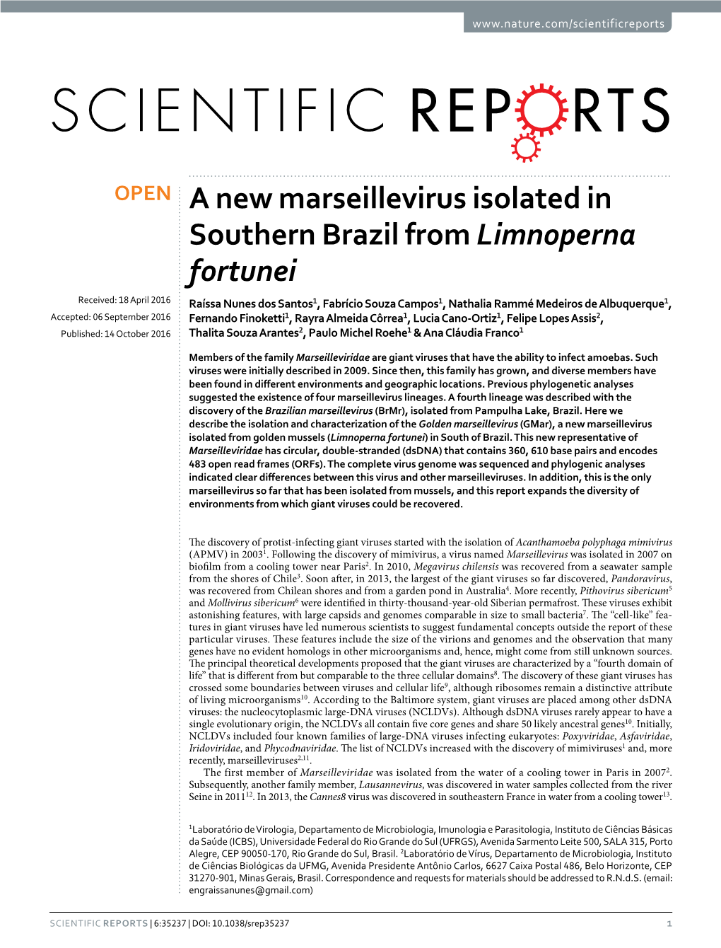 A New Marseillevirus Isolated in Southern Brazil from Limnoperna