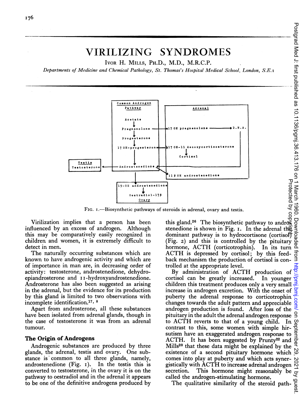 Virilizing Syndromes Ivor H