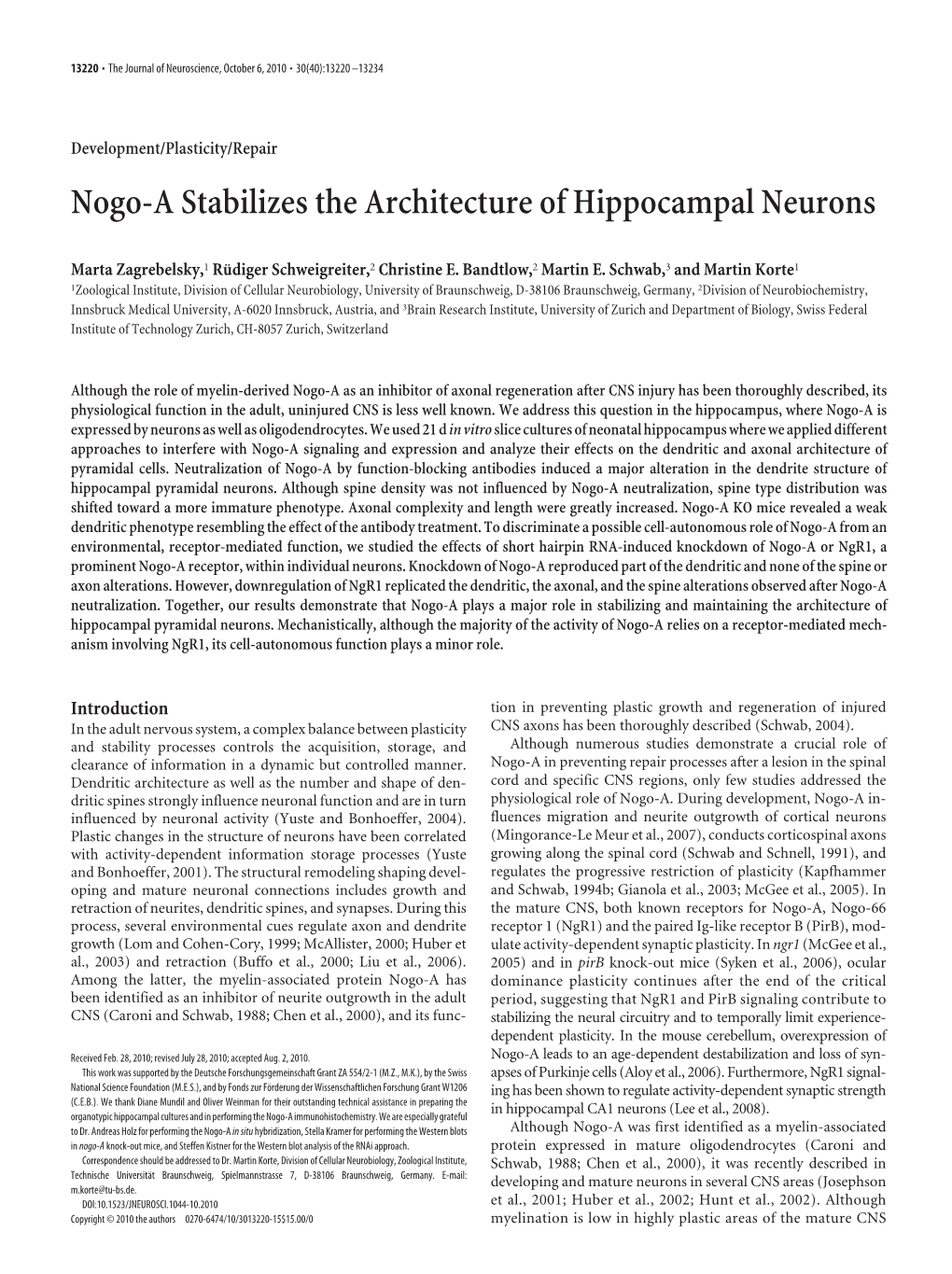 Nogo-A Stabilizes the Architecture of Hippocampal Neurons