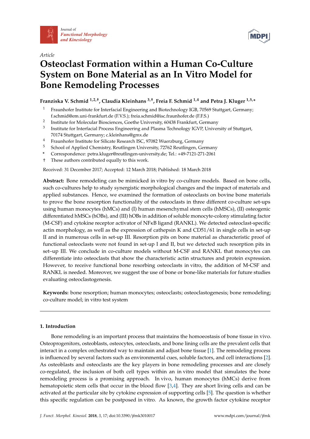 Osteoclast Formation Within a Human Co-Culture System on Bone Material As an in Vitro Model for Bone Remodeling Processes