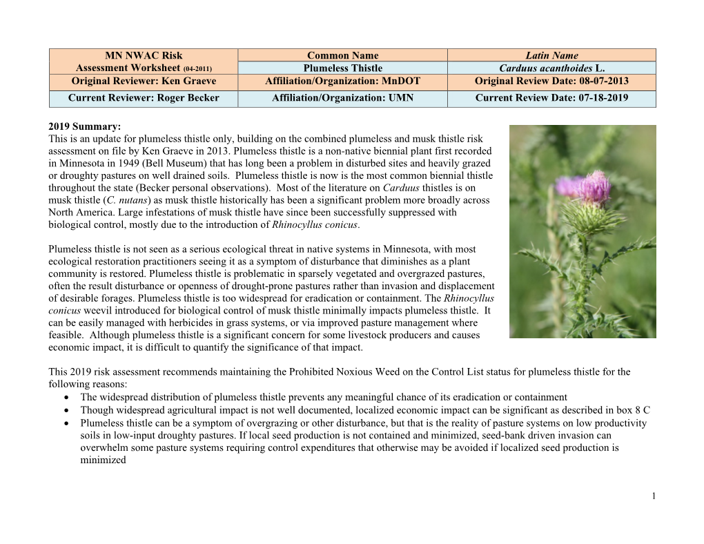 Plumeless Thistle Carduus Acanthoides L