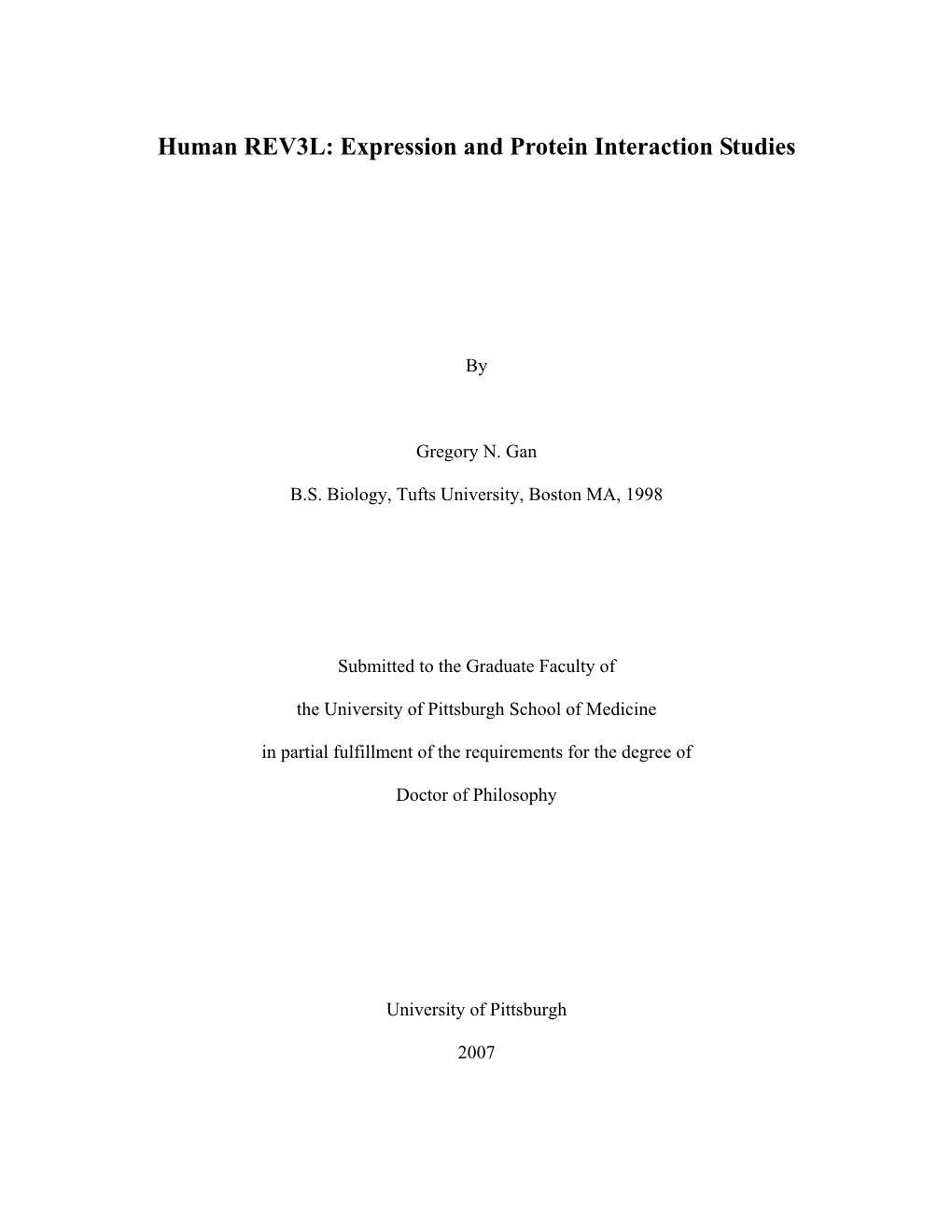 Human REV3L: Expression and Protein Interaction Studies