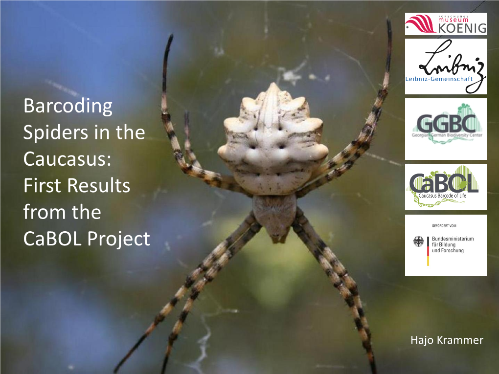 Barcoding Spiders in the Caucasus: First Results from the Cabol Project