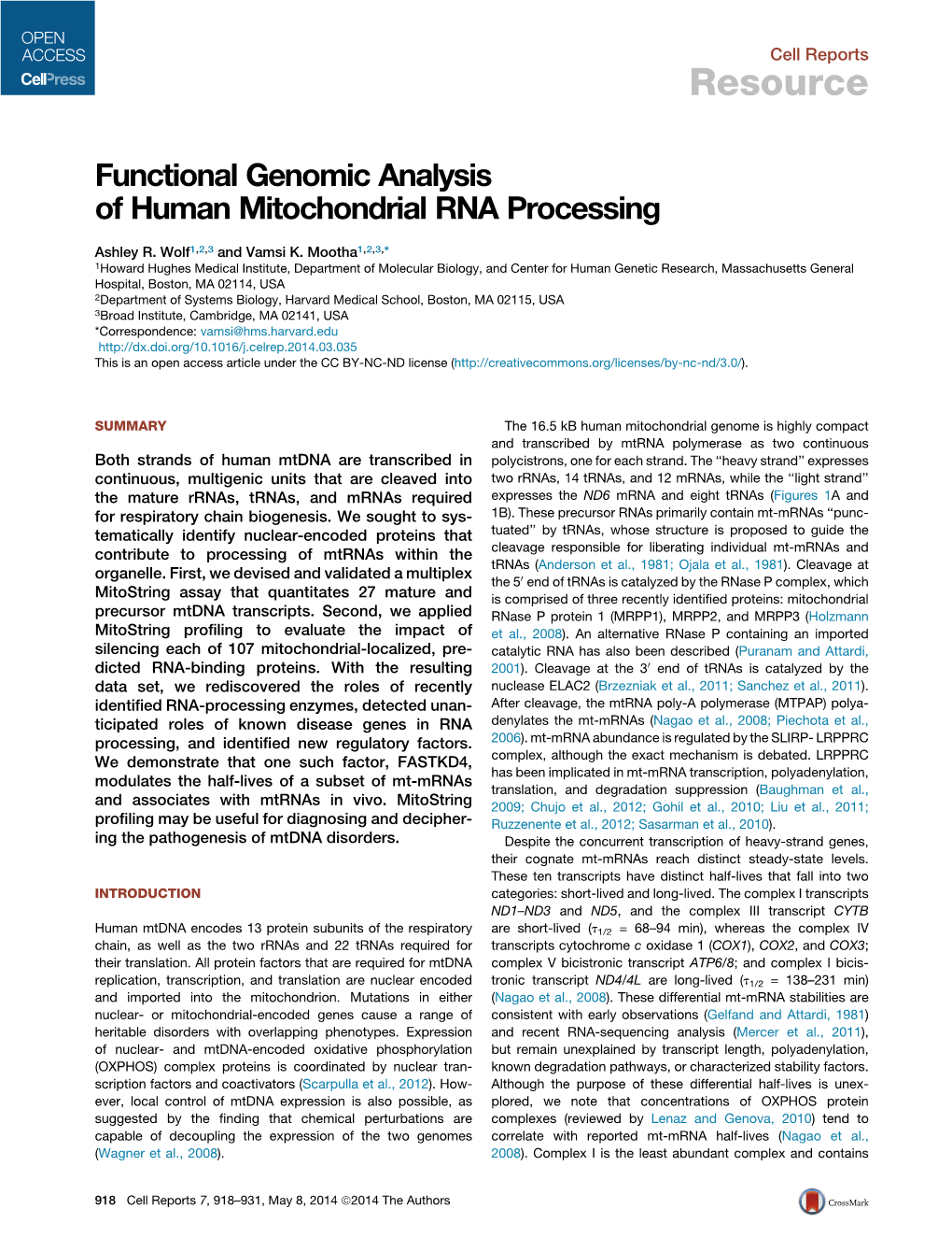 Functional Genomic Analysis of Human Mitochondrial RNA Processing