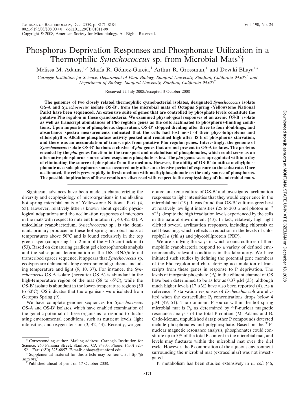 Phosphorus Deprivation Responses and Phosphonate Utilization in a Thermophilic Synechococcus Sp