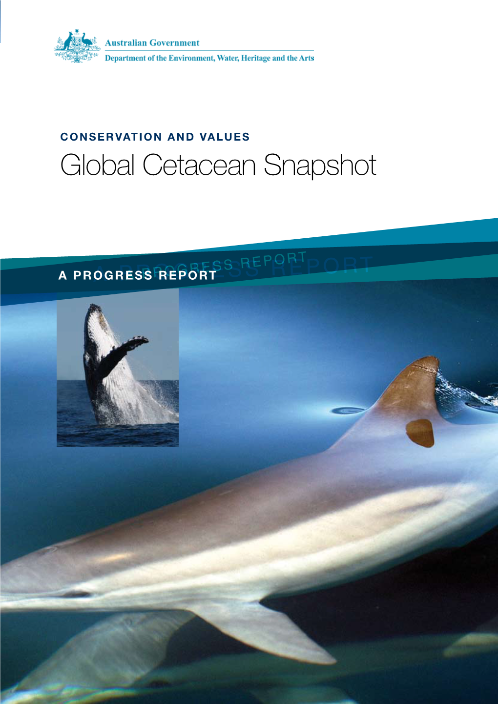 Global Cetacean Snapshot