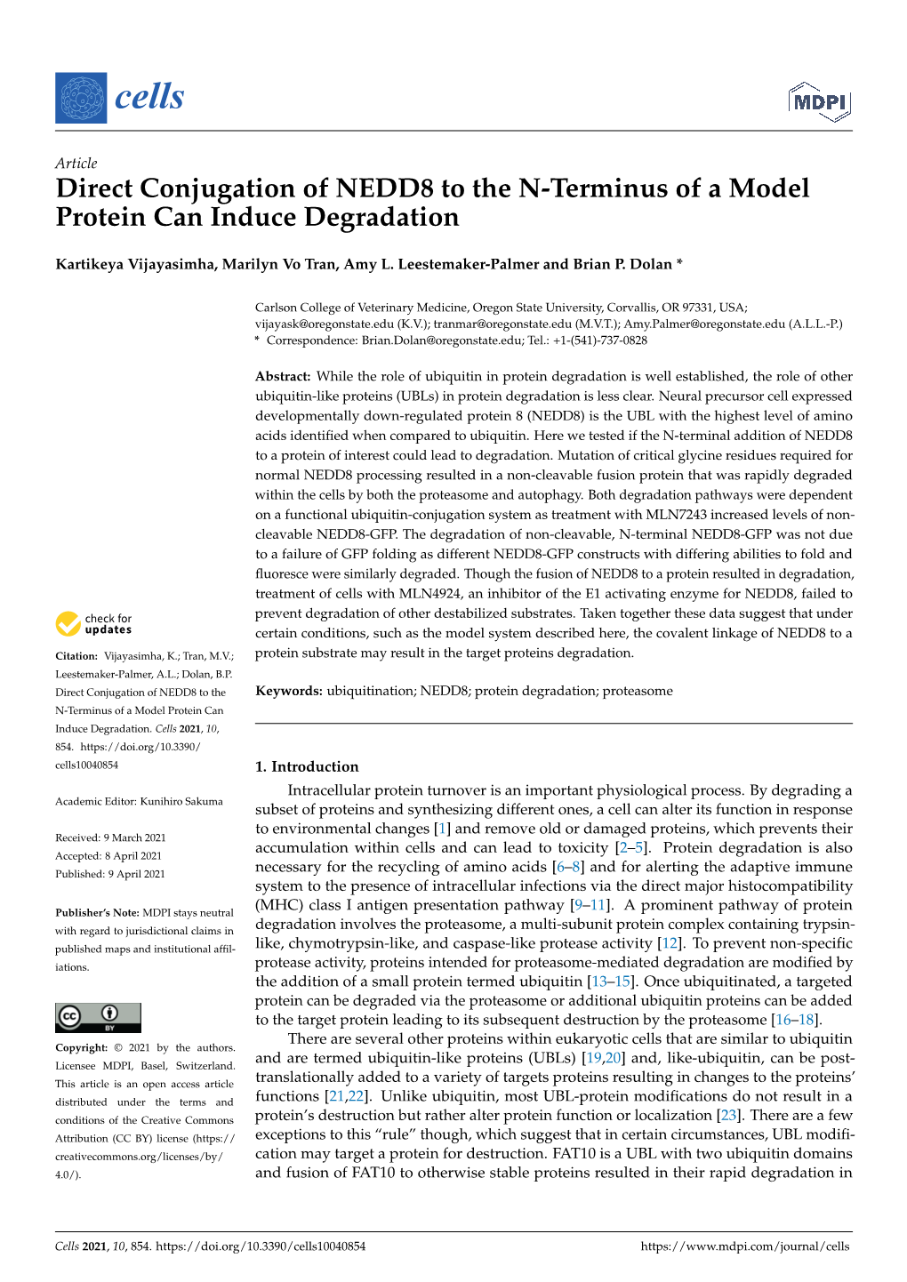 Direct Conjugation of NEDD8 to the N-Terminus of a Model Protein Can Induce Degradation