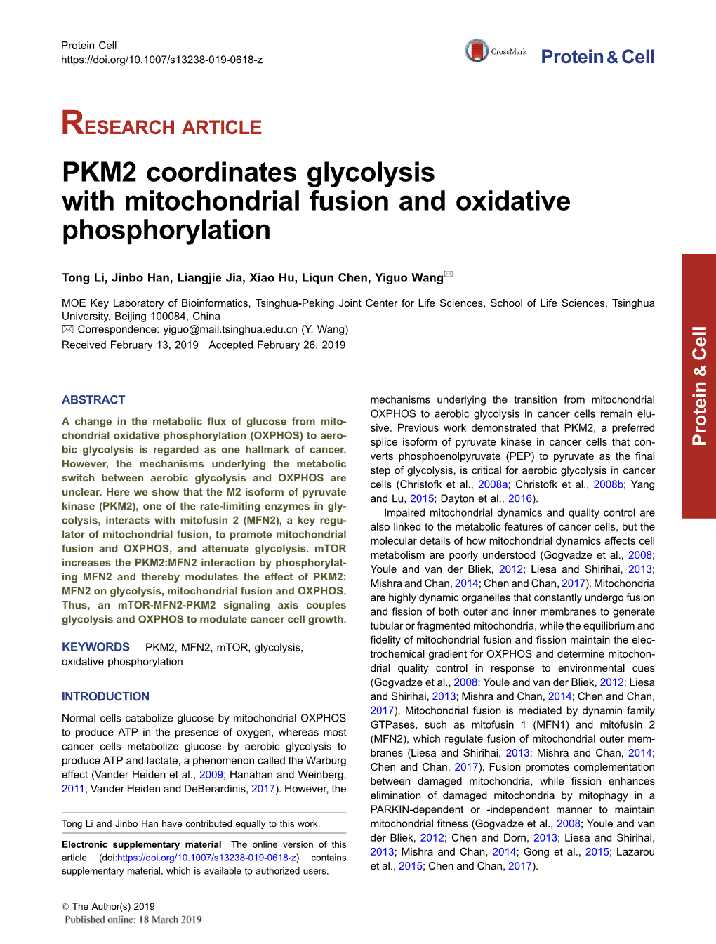 PKM2 Coordinates Glycolysis with Mitochondrial Fusion and Oxidative Phosphorylation